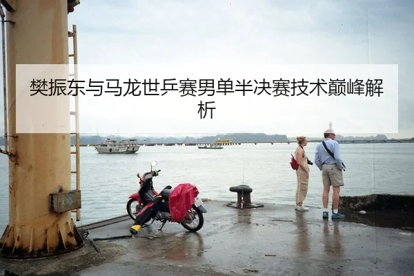 樊振东与马龙世乒赛男单半决赛技术巅峰解析